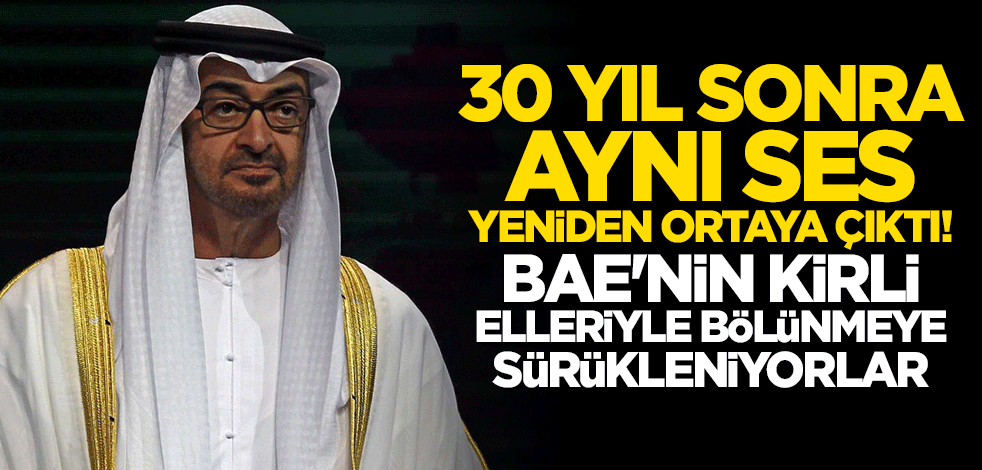 Yemen birleşmenin 30. yılında bu kez BAE'nin kirli elleriyle bölünmeye sürükleniyor