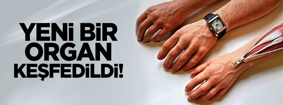 'Yeni bir organ keşfedildi'