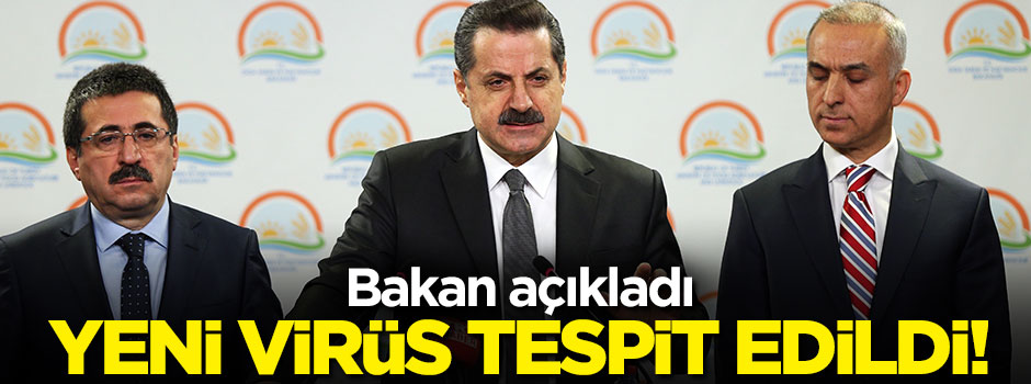 Yeni bir virüs tespit edildi!