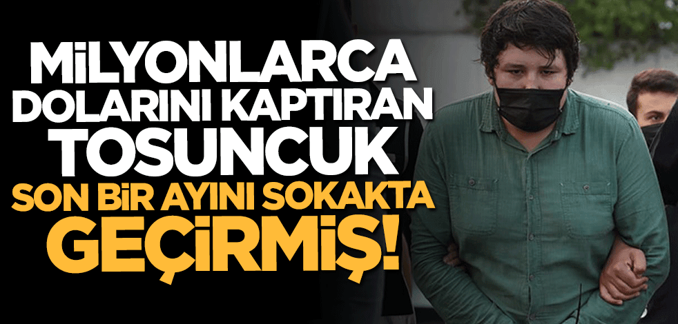 Yeni detaylar ortaya çıktı... "Tosuncuk" Mehmet Aydın son bir ayını sokakta geçirmiş