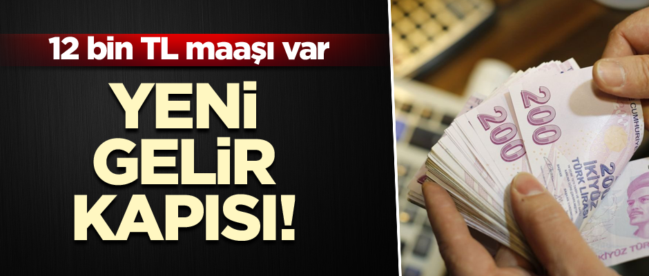 Yeni gelir kapısı! 12 bin TL maaşı var