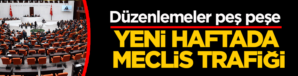 Yeni haftada Meclis trafiği: Düzenlemeler peş peşe