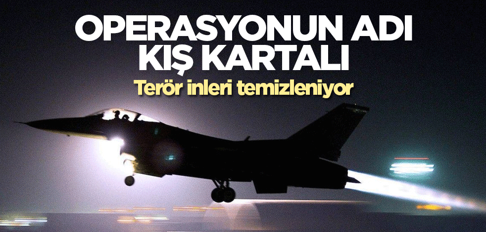 Yeni operasyonun adı Kış Kartalı