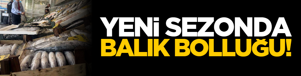 Yeni sezonda balık bolluğu!
