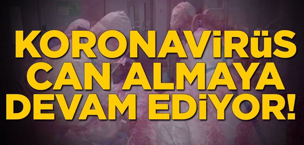 Yeni tip koronavirüs Çin'de can almaya devam ediyor!