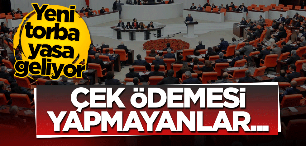 Yeni torba yasa çıkıyor: Müsilaj, çek ödemeleri...