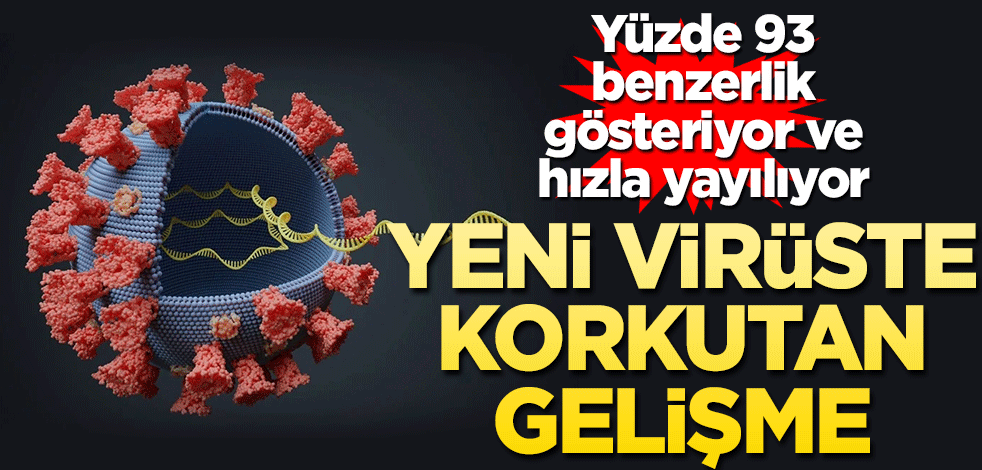 Yeni virüste korkutan gelişme! Yüzde 93 benzerlik var ve hızla yayılıyor