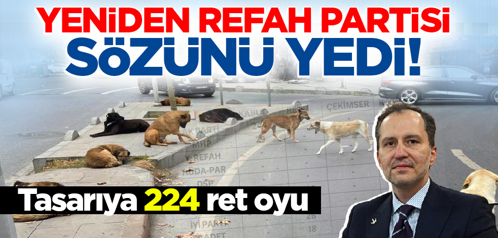 Yeniden Refah Partisi sözünü yedi! Tasarıya 224 ret oyu