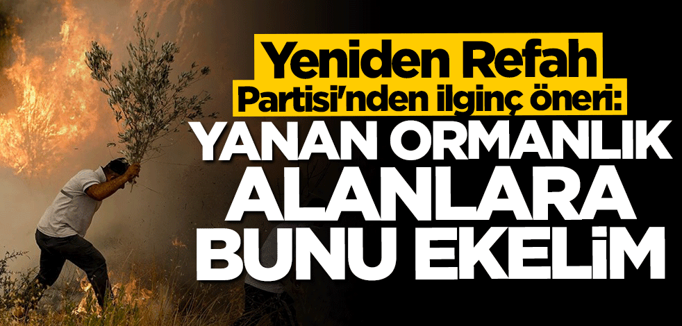 Yeniden Refah Partisi'nden ilginç öneri: Yanan ormanlık alanlara bunu ekelim
