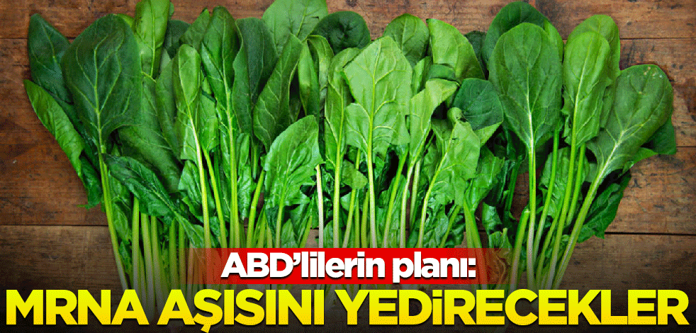 Yenilebilir mRNA aşısı geliyor