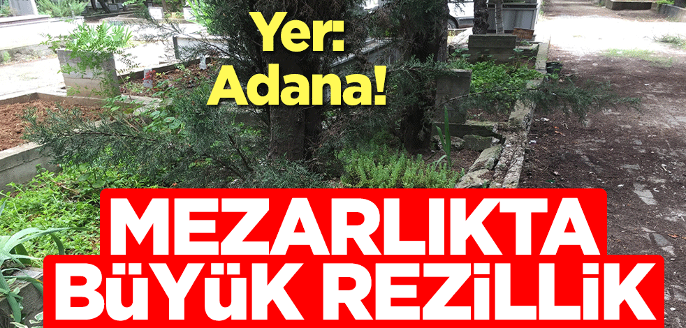 Yer: Adana! Mezarlıkta büyük rezillik