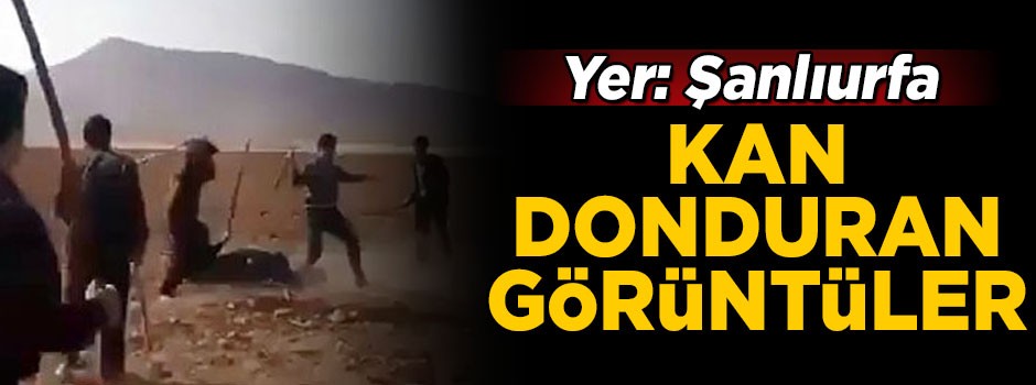 Yer Şanlıurfa! Kan donduran görüntüler