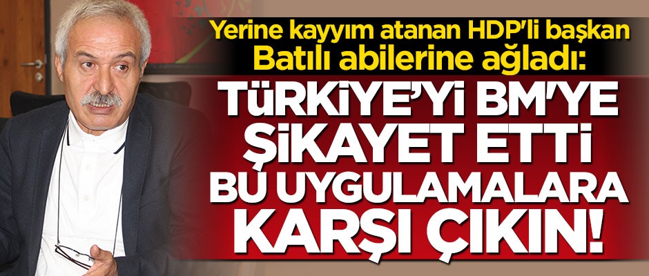 Yerine kayyım atanan HDP'li başkan Batılı abilerine ağladı: Bu uygulamalara karşı çıkmalısınız