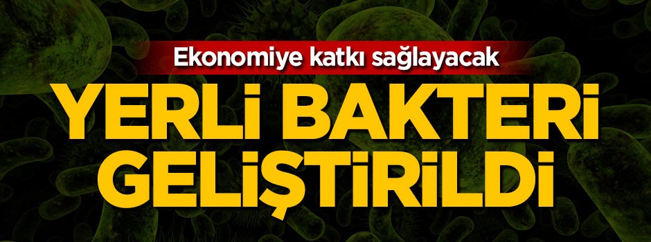 Yerli bakteri geliştirildi