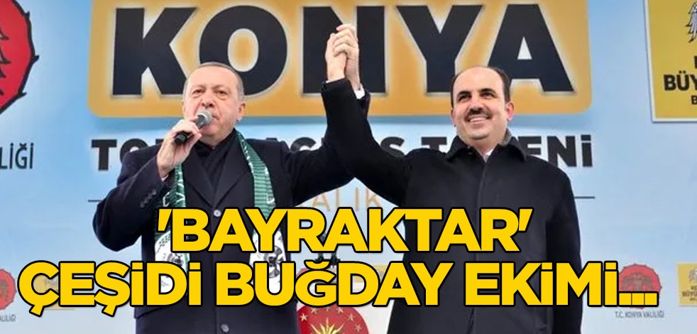 Yerli ve Milli 'Bayraktar' çeşidi buğday ekimi yapıldı! Türkiye'ye yönelik flaş çıkış: Tarımla teknolojinin birleştiği akıllı şehir Konya