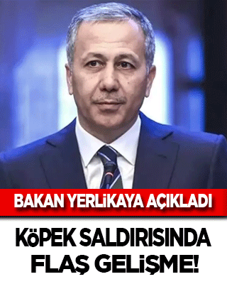 Yerlikaya açıkladı: Köpek saldırısında flaş gelişme!