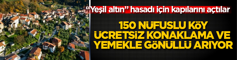 "Yeşil altın" hasadı için kapılarını açtılar: 150 nüfuslu köy, ücretsiz konaklama ve yemekle gönüllü arıyor