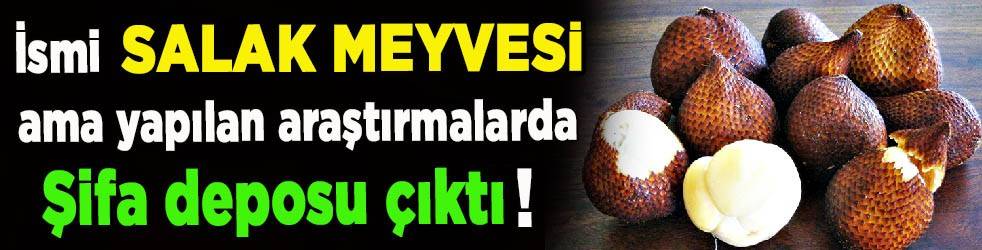 Yılan meyvesi kronik hastalıkları önleyebilir! Salak meyvesi faydaları