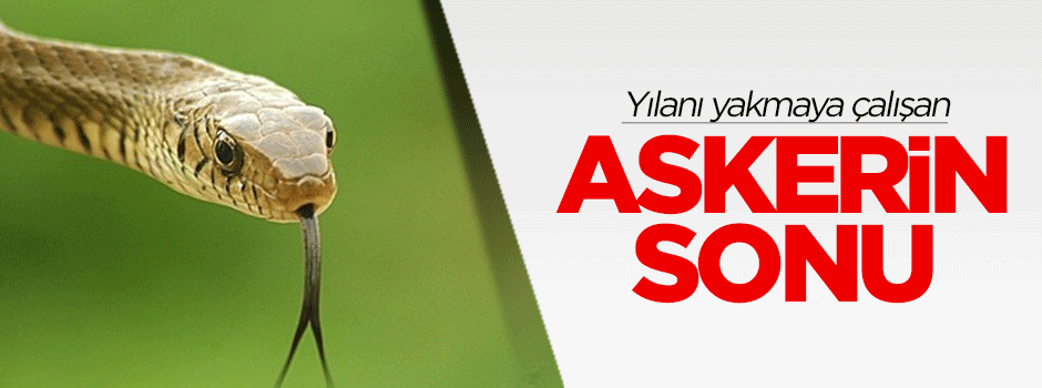 Yılanı yakmaya çalışan asker hastanelik oldu
