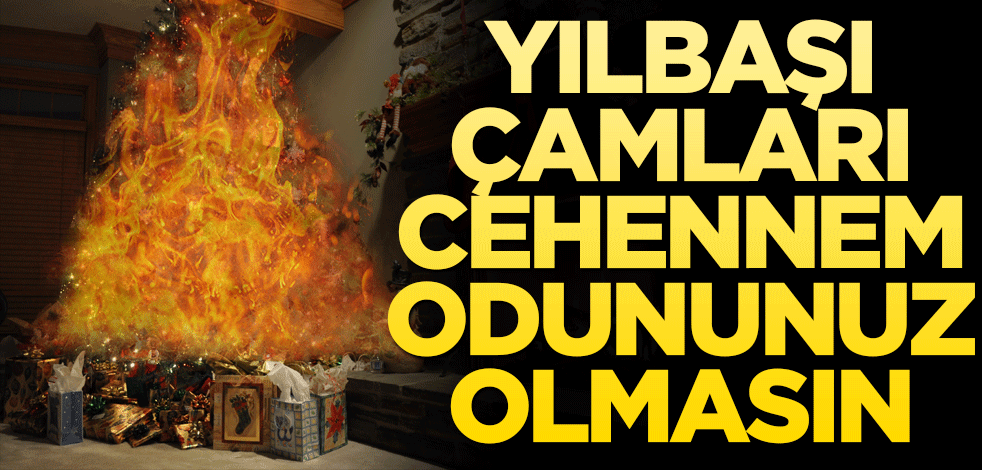  Yılbaşı çamları, cehennem odununuz olmasın