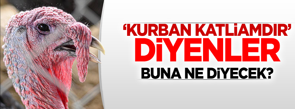 Yılbaşında 500 bin hindi kesilecek!