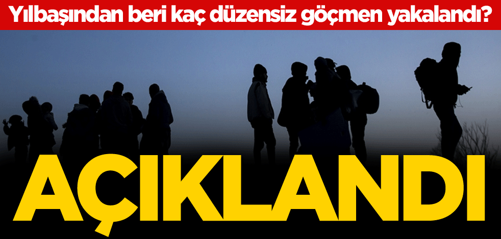 Yılbaşından beri kaç düzensiz göçmen yakalandı? Açıklandı