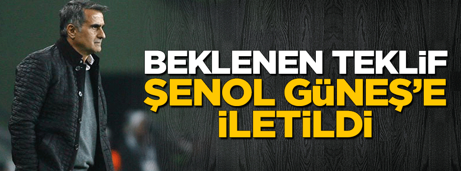 Yıldırım Demirören Şenol Güneş'e teklifte bulundu