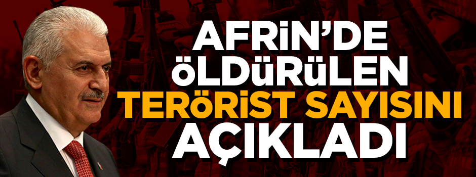 Yıldırım: Gücünüz yetiyorsa Mehmetçik'in karşısına çıkın