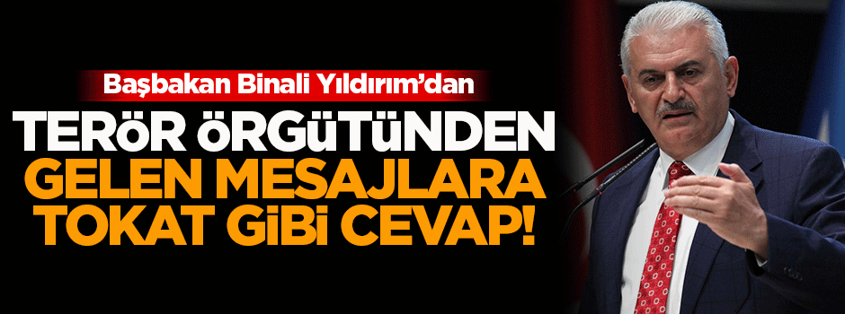Yıldırım: Terör örgütünden silahları bırakabiliriz mesajları geliyor