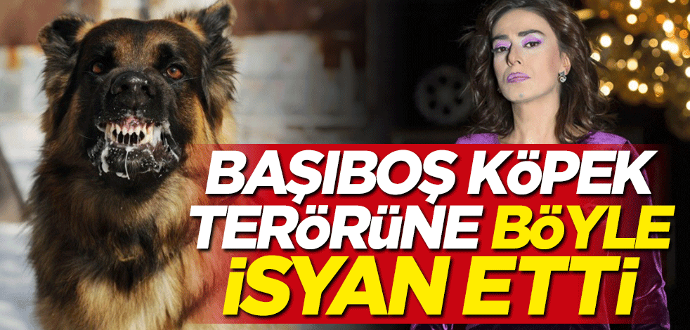 Yıldız Tilbe başıboş köpek terörüne böyle isyan etti