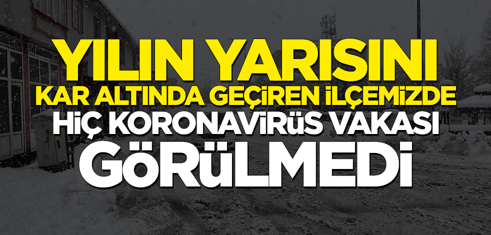 Yılın yarısını kar altında geçiren Karlıova'da hiç koronavirüs vakası görülmedi