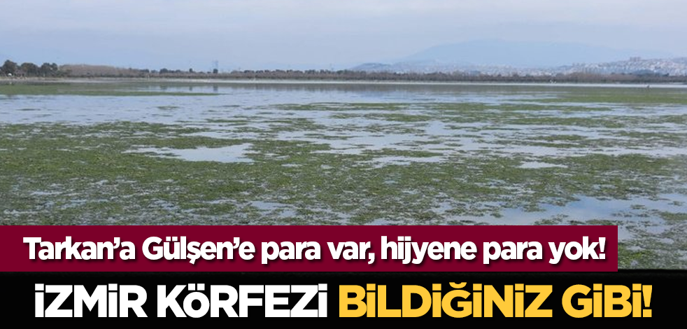 Yılların rezilliği: İzmir Körfezi bildiğiniz gibi!