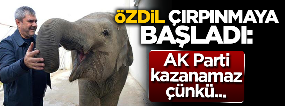 Yılmaz Özdil çırpınmaya başladı: AK Parti kazanamaz çünkü...