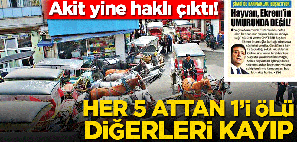 Yine Akit haklı çıktı! Her 5 attan 1’i ölü diğerleri kayıp