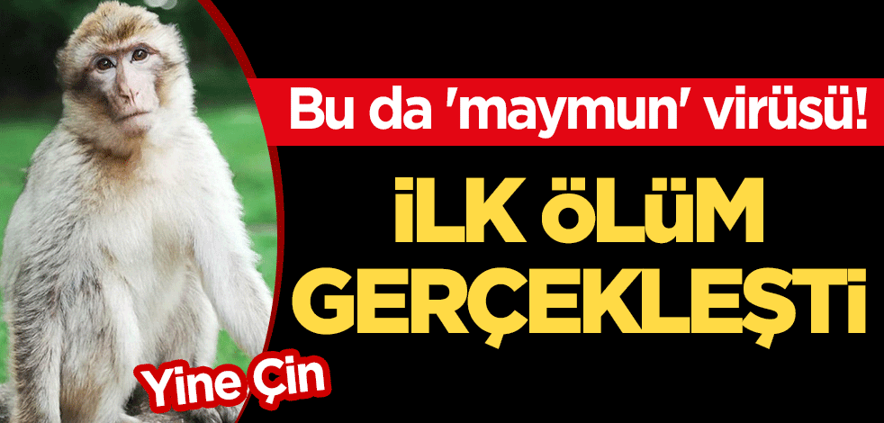 Yine Çin: Bu da 'maymun' virüsü! İlk ölüm gerçekleşti