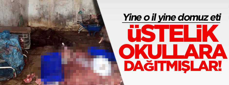 Yine o il yine domuz eti, üstelik okullara dağıtmışlar!