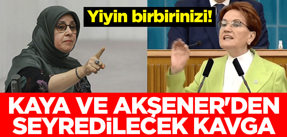 Yiyin birbirinizi! Hüda Kaya ve Meral Akşener'den seyredilecek kavga