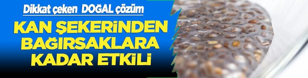 Yoğurdun içine 1 kaşık ekleyin: Kan şekerinden bağırsaklara kadar etkili olan doğal çözüm... Peki ya biz ne yapmalıyız?