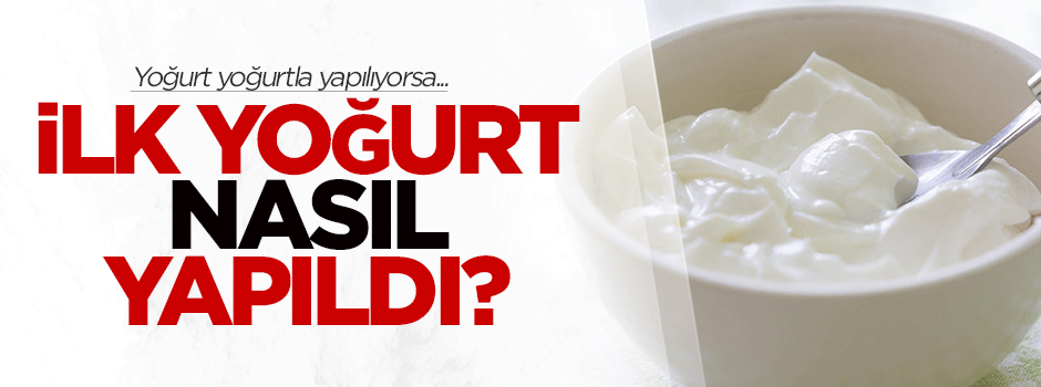 Yoğurt yoğurt ile yapılıyorsa ilk yoğurt nasıl yapıldı?