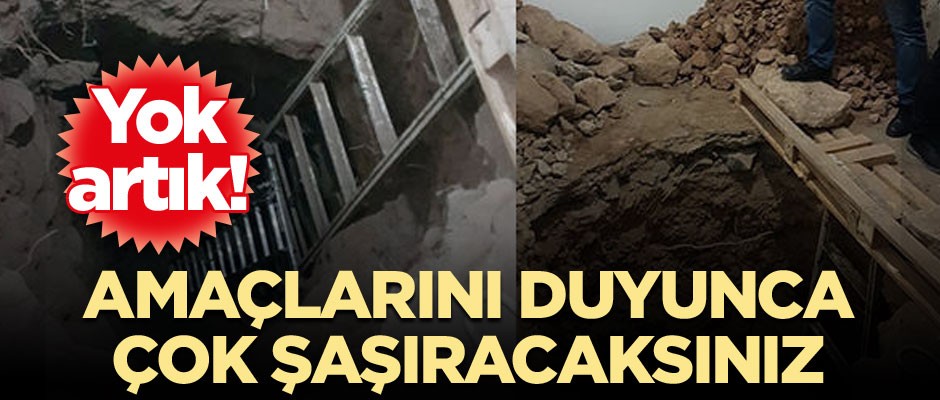 Yok artık! Amaçlarını duyunca çok şaşıracaksınız