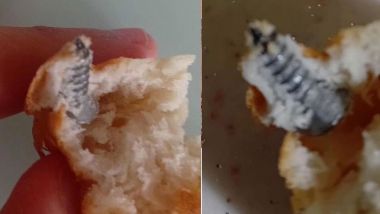 Yok artık! Böldüğü ekmeğin içerisinden parmak kadar vida çıktı
