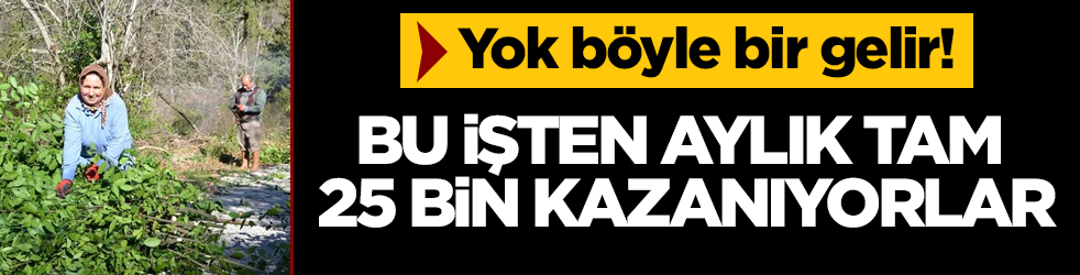 Yok böyle bir gelir! Aylık tam 25 bin TL kazanıyorlar