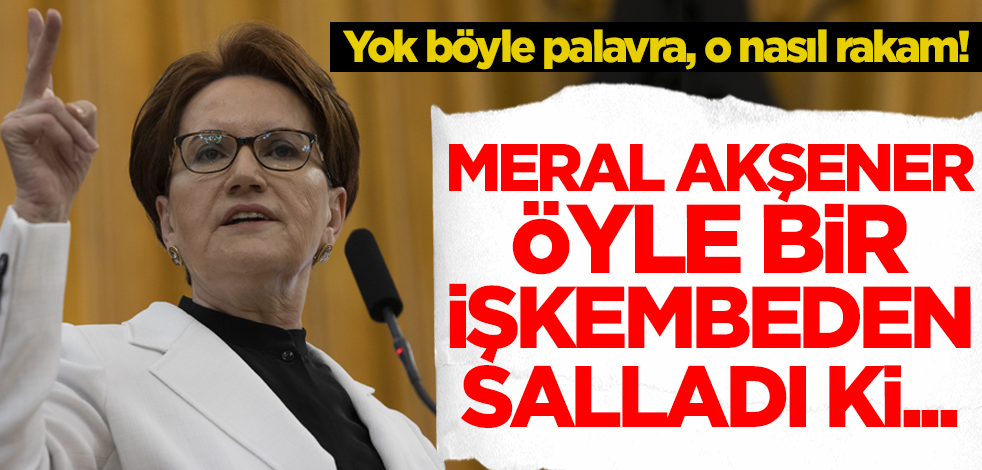 Yok böyle palavra, o nasıl rakam! Meral Akşener öyle bir işkembeden salladı ki...