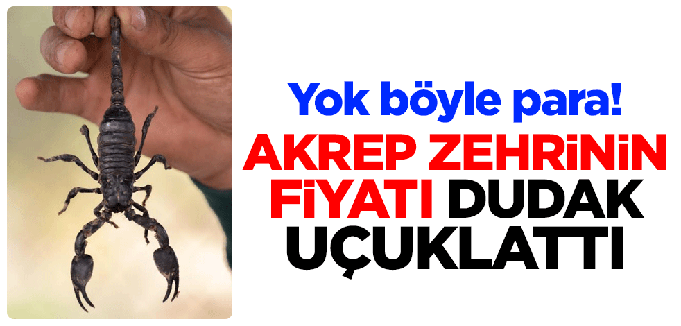 Yok böyle para! Akrep zehrinin fiyatı dudak uçuklattı