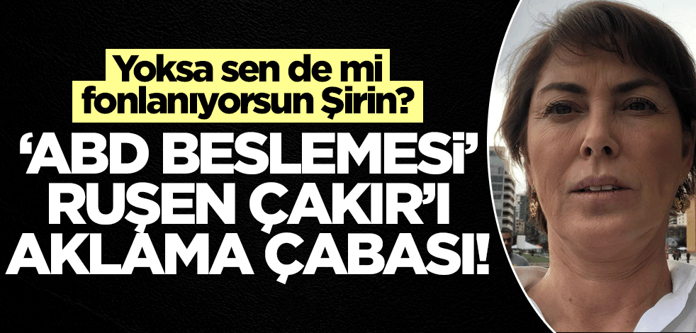 Yoksa sen de mi fonlanıyorsun Şirin? "ABD beslemesi" Ruşen'i aklama çabası!
