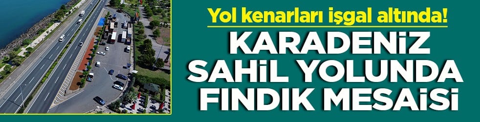 Yol kenarları işgal altında Karadeniz sahil yolunda fındık mesaisi