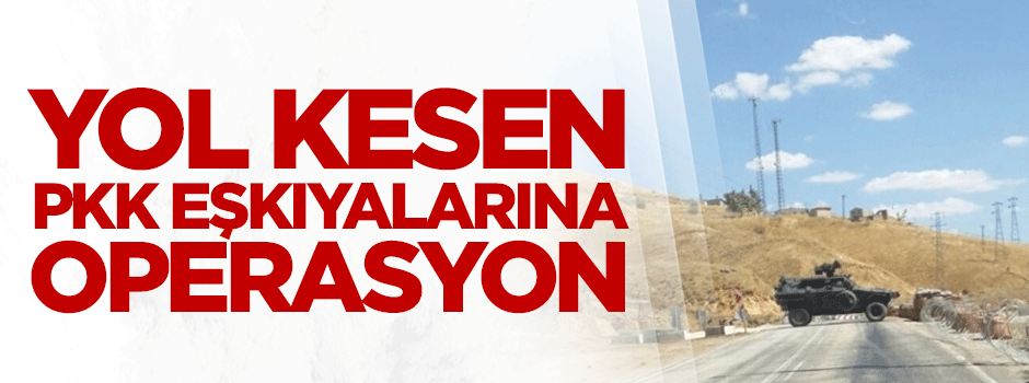 Yol kesen PKK eşkıyalarına operasyon