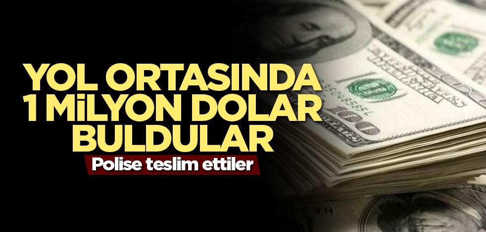 Yol ortasında 1 milyon dolar buldular
