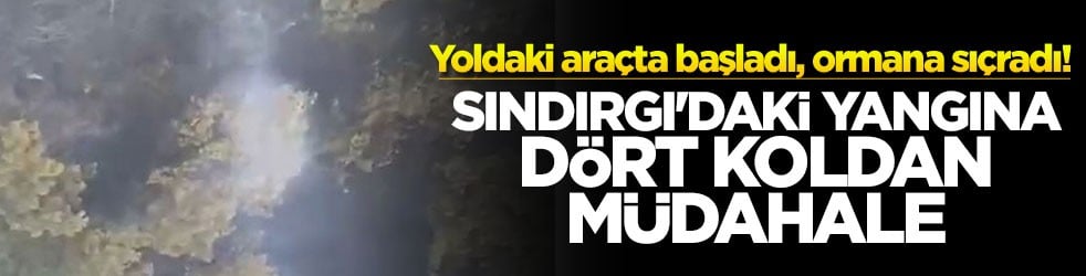 Yoldaki araçta başladı, ormana sıçradı Sındırgı'daki yangına dört koldan müdahale