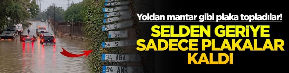 Yoldan mantar gibi plaka topladılar! Selden geriye sadece plakalar kaldı